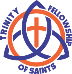 TFS Logo